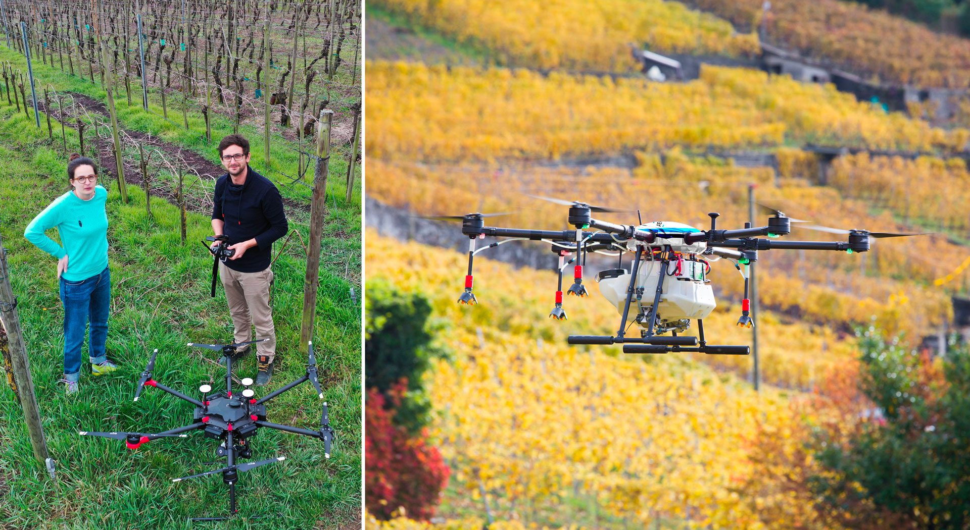 Wie Drohnen im Weinbau nützlich sein können